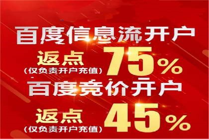 百度竞价排名服务的广告投放技巧与策略